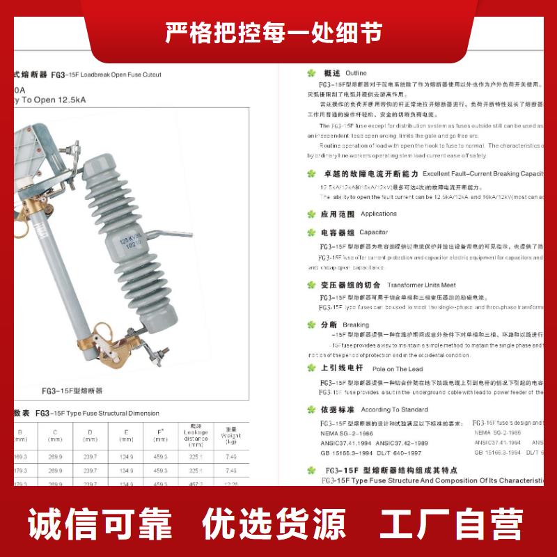 阳江YH5WX2-54/142线路型避雷器