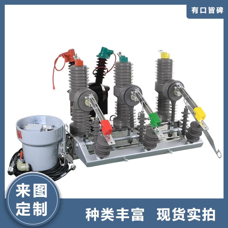 VS1-12/1000-20户内真空断路器侧装式沧州