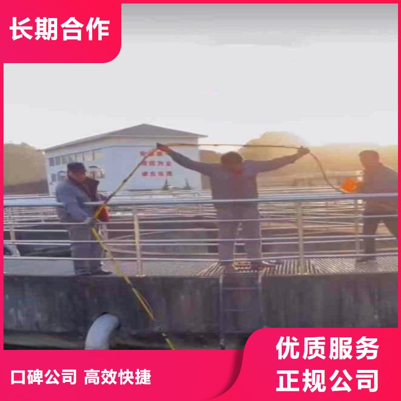 海南陵水县本地服务公司——桥桩码头水下检测拍照公司——浪淘沙蛙人服务队&