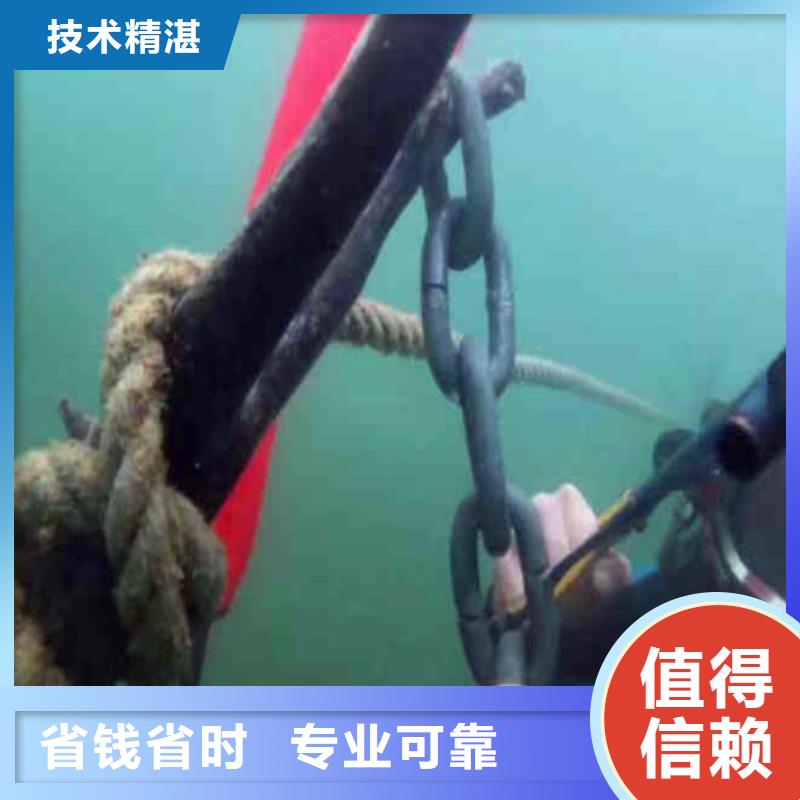 广东广州本地服务公司——水下封堵检修公司+浪淘沙水工……
