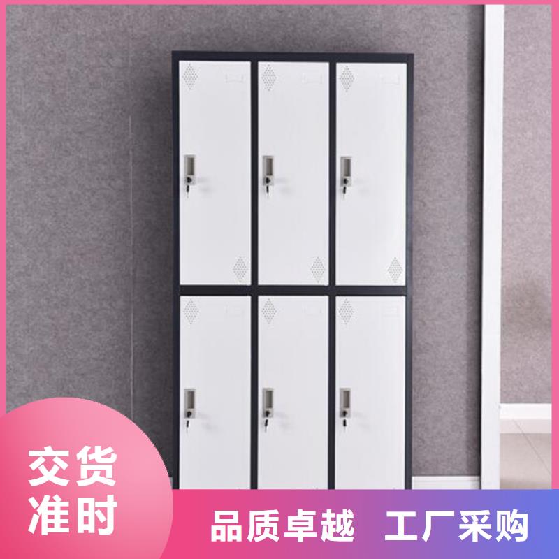 二門鐵皮更衣柜貨源充足品牌大廠家