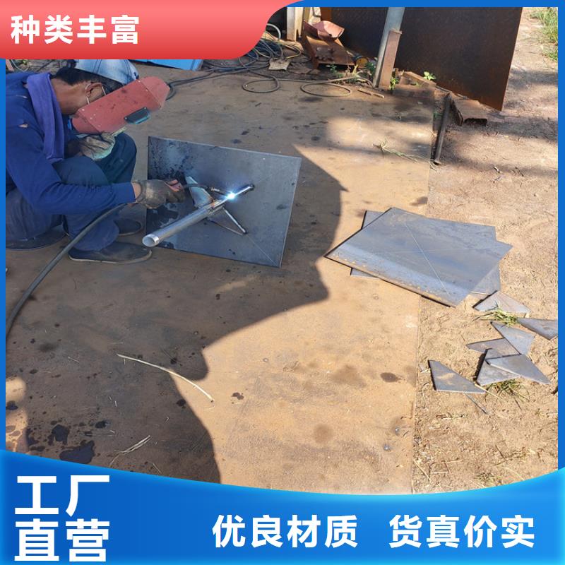 安徽省芜湖市沉降板沉降观测标生产厂家