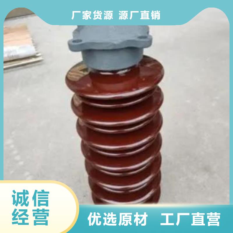 东莞市道滘镇针式瓷瓶ZSW-110/6畅销全国