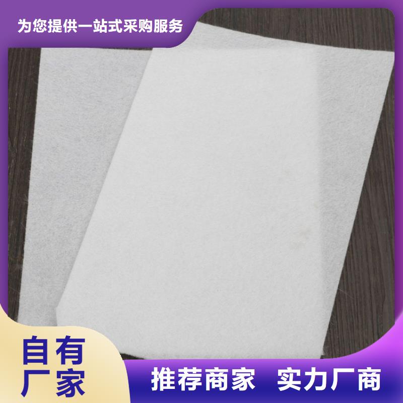 道路聚酯玻纖布生產(chǎn)廠家常年供應(yīng)