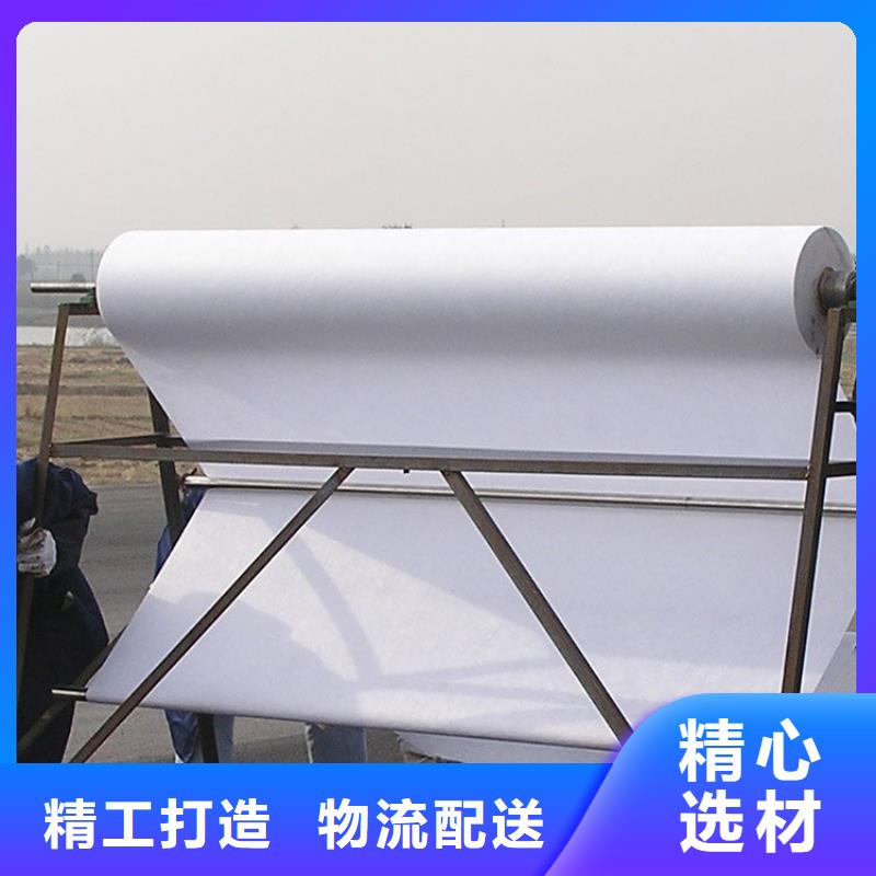 道路高性能聚酯纖維布銷售公司國標(biāo)檢測放心購買