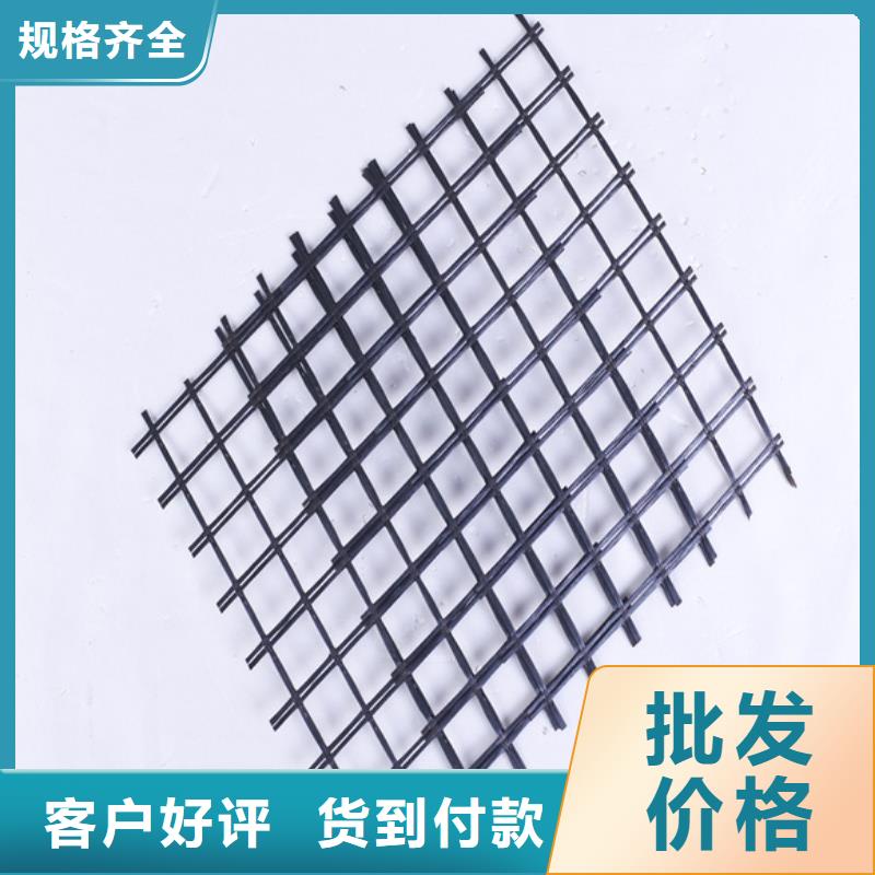 玻璃纖維土工格柵施工方案當地生產商