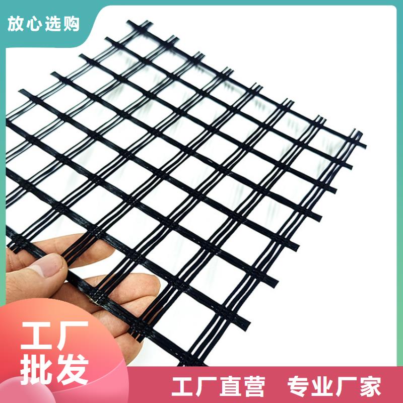 公路用玻纖土工格柵生產廠家當地生產商