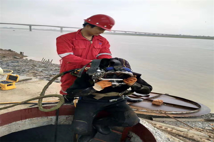 自贡批发潜水员封堵管道施工队-专业从事水下作业
