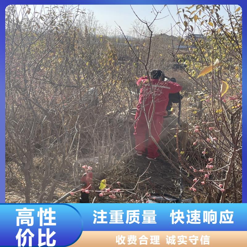 崇左市潛水員服務公司蘇龍專業潛水施工團隊匠心品質