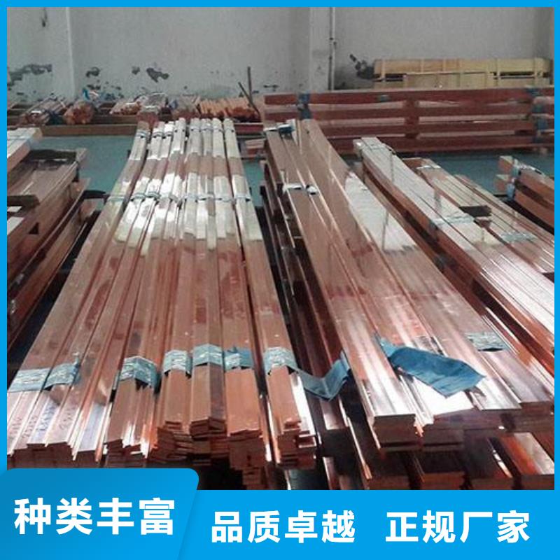 靜電防雷T2紫銅排一名供應誠信廠家