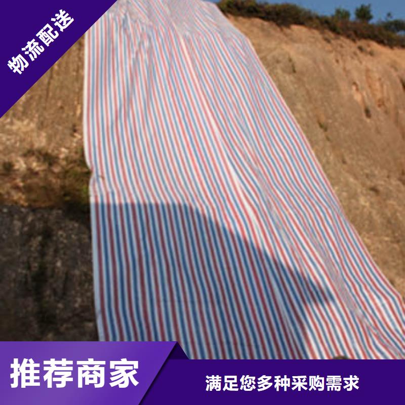 甄选：广州彩条布8×30米生产厂家
