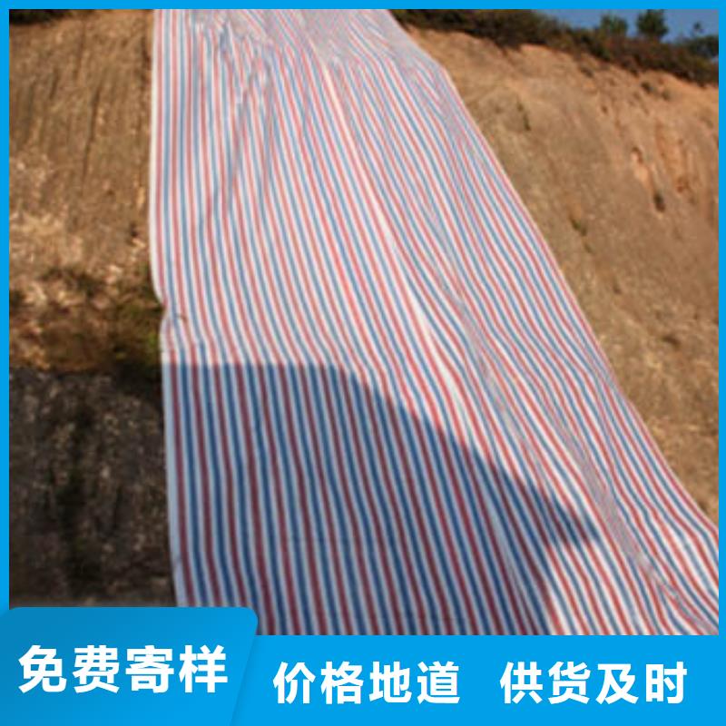 衢州塑料编织彩条布价格实惠的厂家