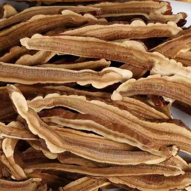 破壁灵芝孢子粉代工厂健康好喝味道好