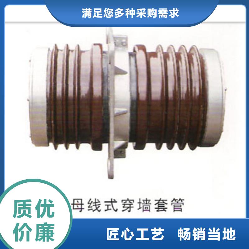 CWL-20/3000A陶瓷穿墻套管同城廠家