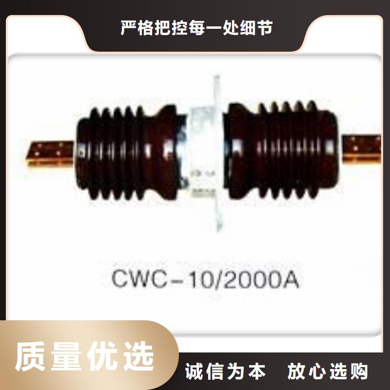 自贡CWL-20/3000A陶瓷穿墙套管