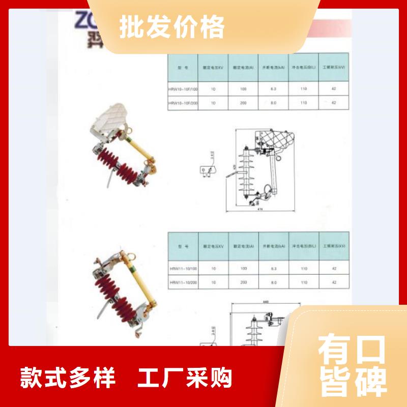 高压熔断器/RTF5-12/200A 