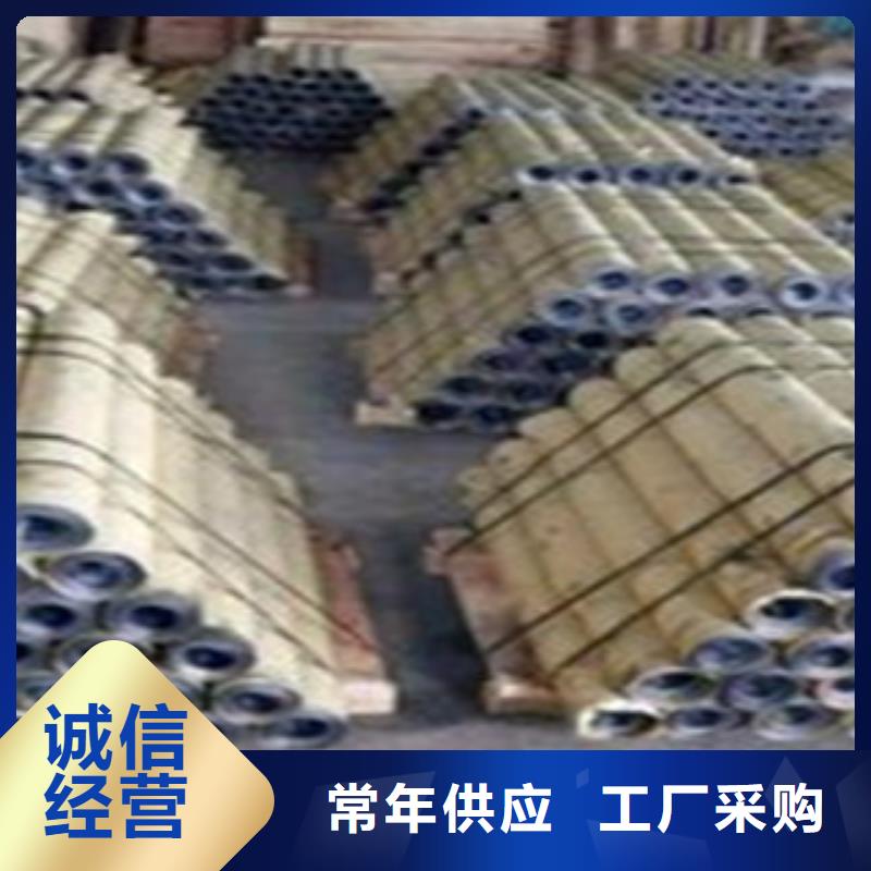 温州优质射线防护铅门的生产厂家