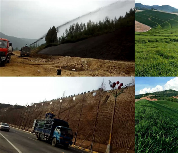(景德镇)厂家货源稳定万泽锦达高速斜坡绿化施工种草喷土机喷播机价格优惠