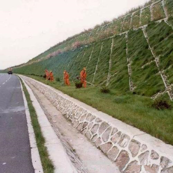 浙江天台石坡喷播种草设备用喷播机种草机