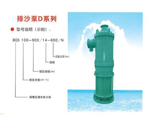 海南定制BQS100-50/2-30/NS排污泵