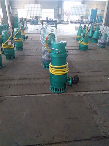 山西省阳泉品质BQS80-160/2-75排沙泵